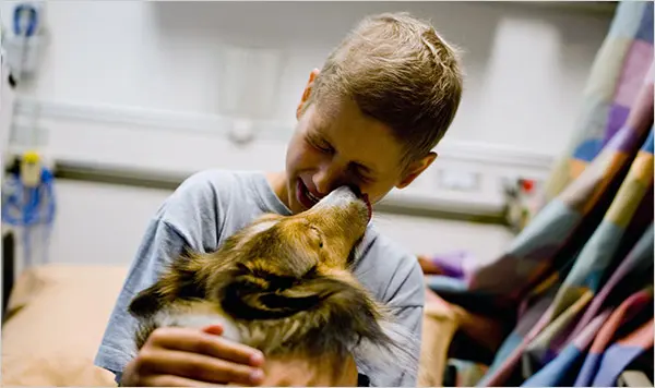 Exploring the Benefits of Animal-Assisted Therapy
